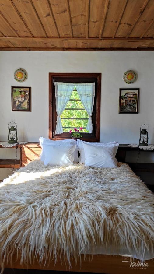 Kalinia Guesthouse B&B Kovačevica Eksteriør bilde
