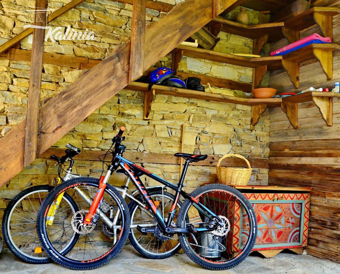 Kalinia Guesthouse B&B Kovačevica Eksteriør bilde