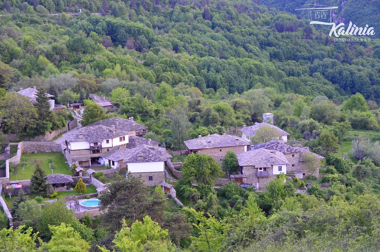 Kalinia Guesthouse B&B Kovačevica Eksteriør bilde