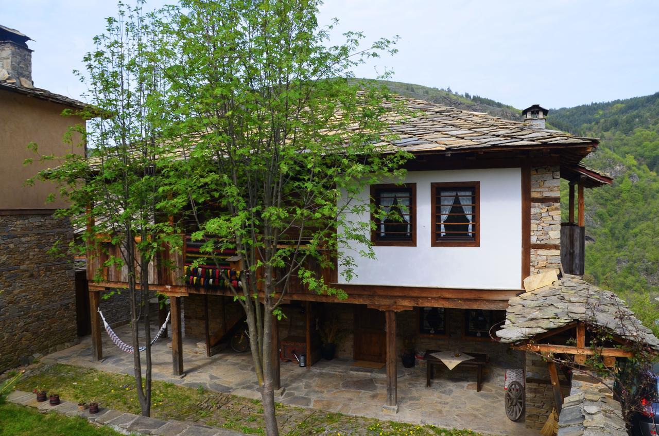 Kalinia Guesthouse B&B Kovačevica Eksteriør bilde