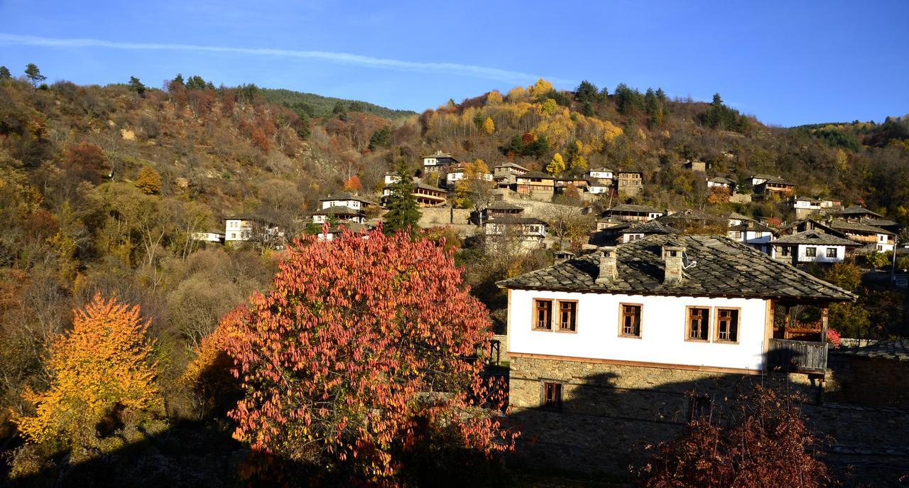 Kalinia Guesthouse B&B Kovačevica Eksteriør bilde