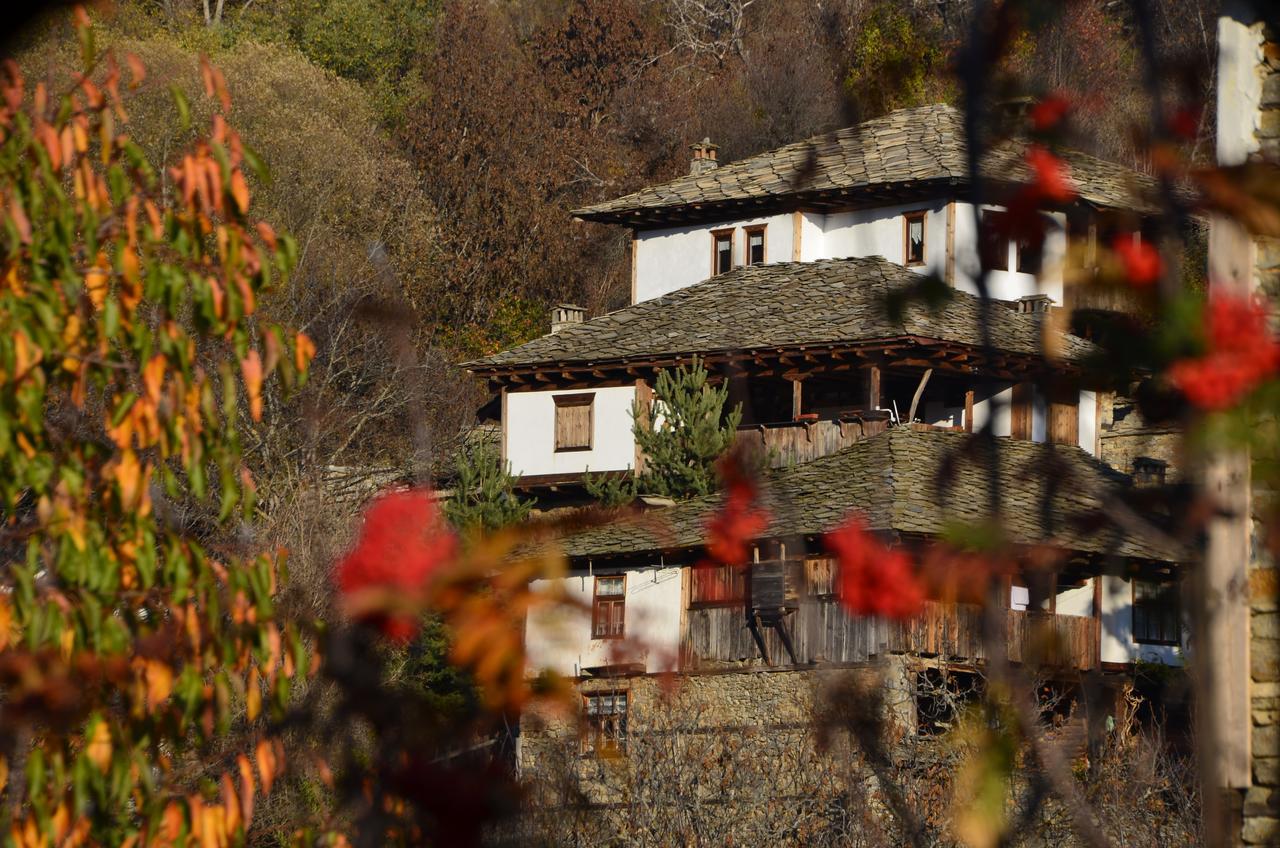 Kalinia Guesthouse B&B Kovačevica Eksteriør bilde