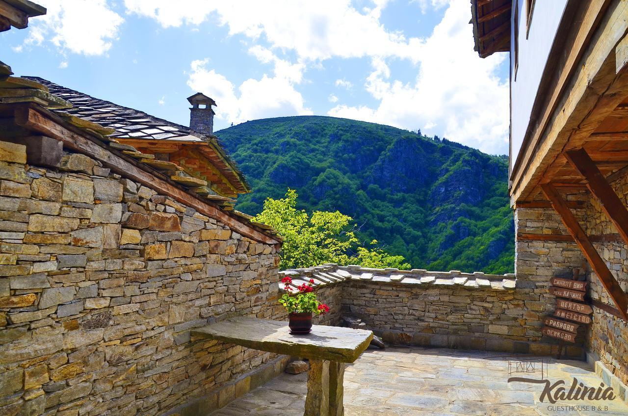 Kalinia Guesthouse B&B Kovačevica Eksteriør bilde
