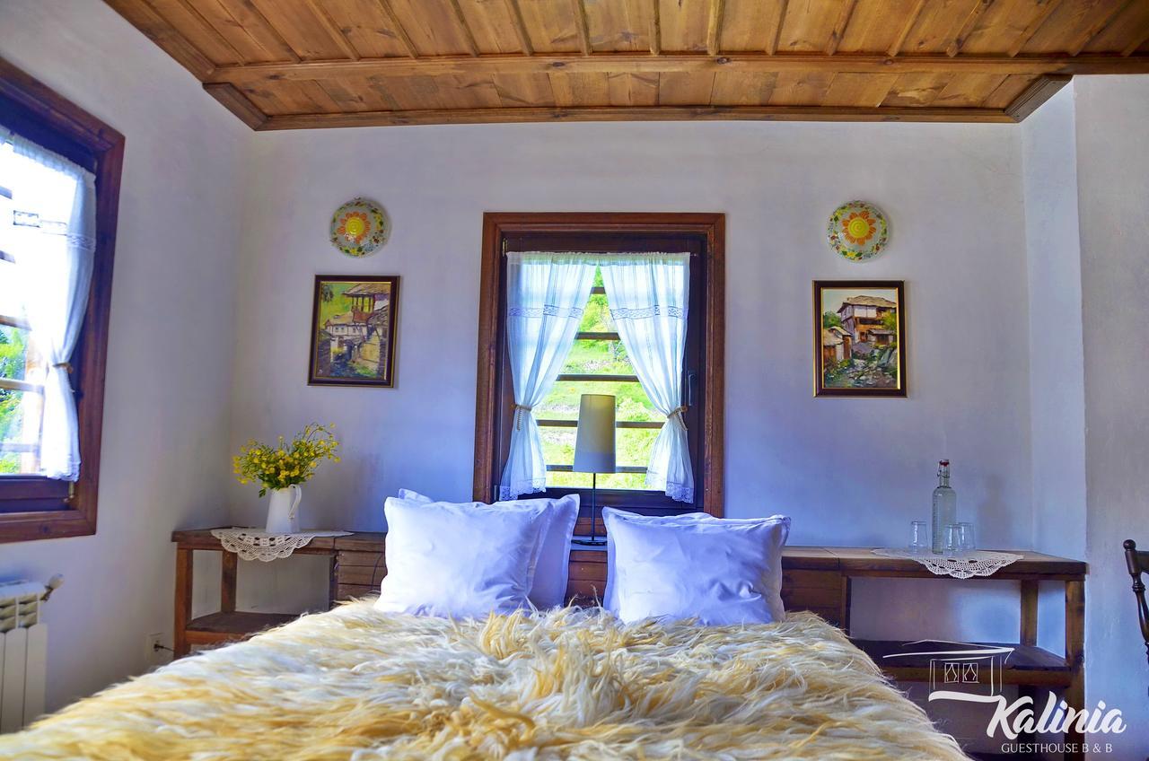 Kalinia Guesthouse B&B Kovačevica Eksteriør bilde
