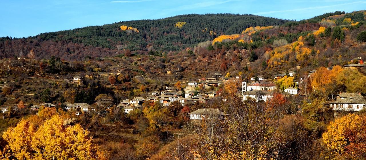 Kalinia Guesthouse B&B Kovačevica Eksteriør bilde